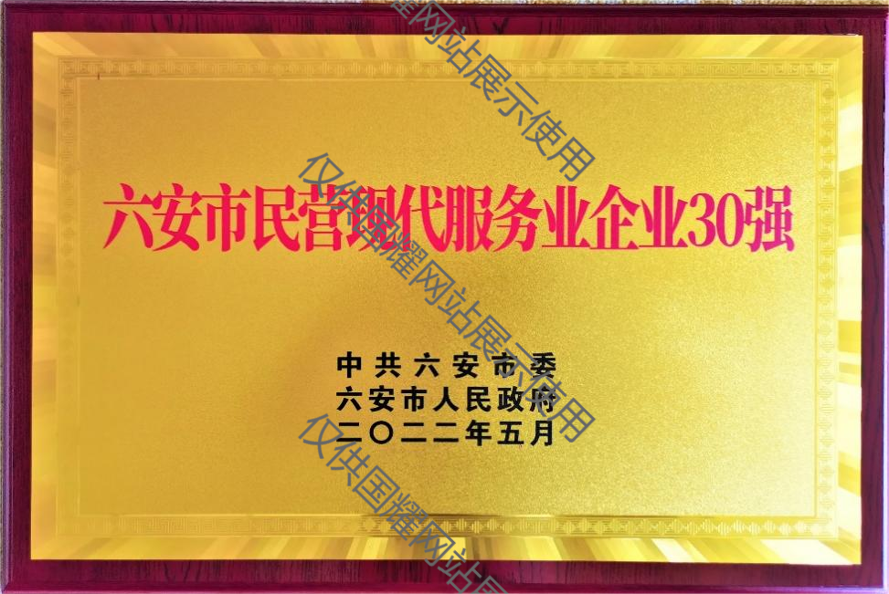 六安市民营现代服务业企业30强